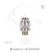dqm-ii---ii-g.jpg